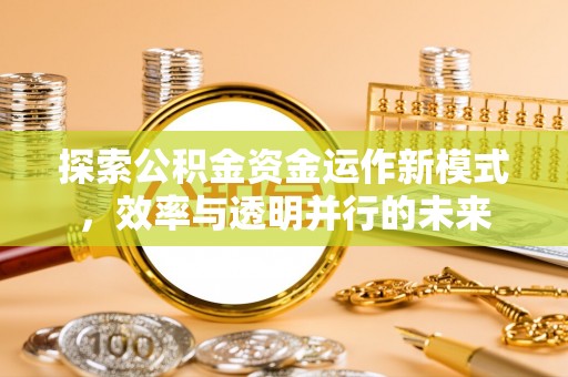 仁武探索公积金资金运作新模式，效率与透明并行的未来