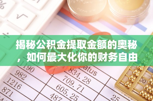 仁武揭秘公积金提取金额的奥秘，如何最大化你的财务自由