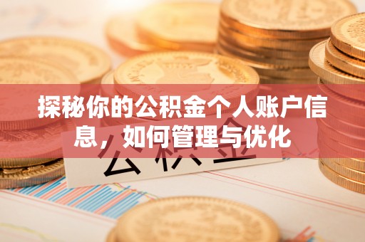 仁武探秘你的公积金个人账户信息，如何管理与优化