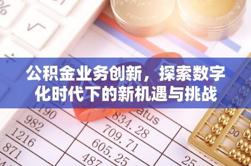 仁武公积金业务创新，探索数字化时代下的新机遇与挑战