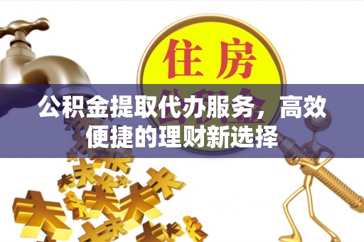 仁武公积金提取代办服务，高效便捷的理财新选择
