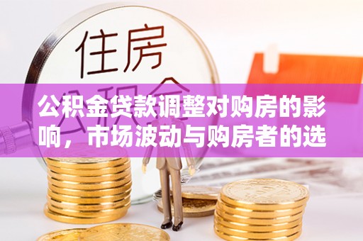 仁武公积金贷款调整对购房的影响，市场波动与购房者的选择