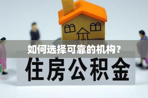 仁武如何选择可靠的机构？