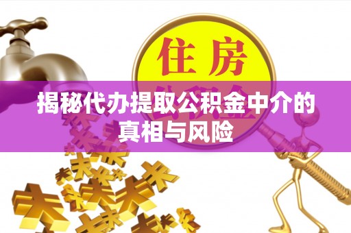 仁武揭秘代办提取公积金中介的真相与风险