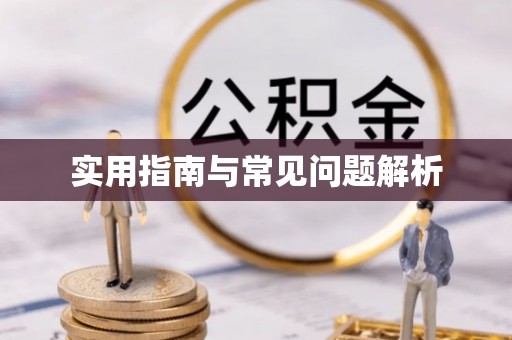 仁武实用指南与常见问题解析