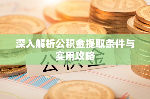 仁武深入解析公积金提取条件与实用攻略