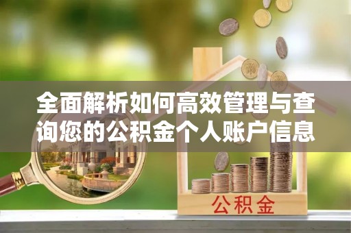 仁武全面解析如何高效管理与查询您的公积金个人账户信息