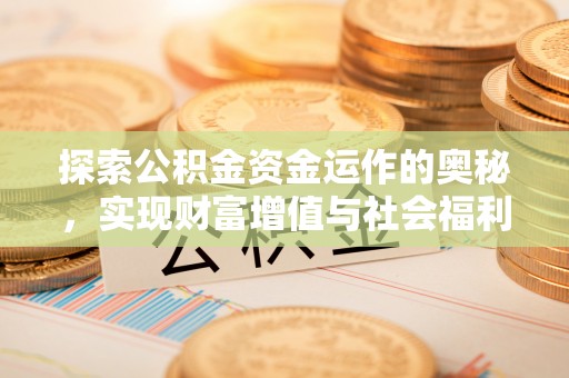 仁武探索公积金资金运作的奥秘，实现财富增值与社会福利双赢