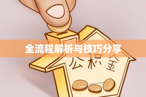 仁武全流程解析与技巧分享